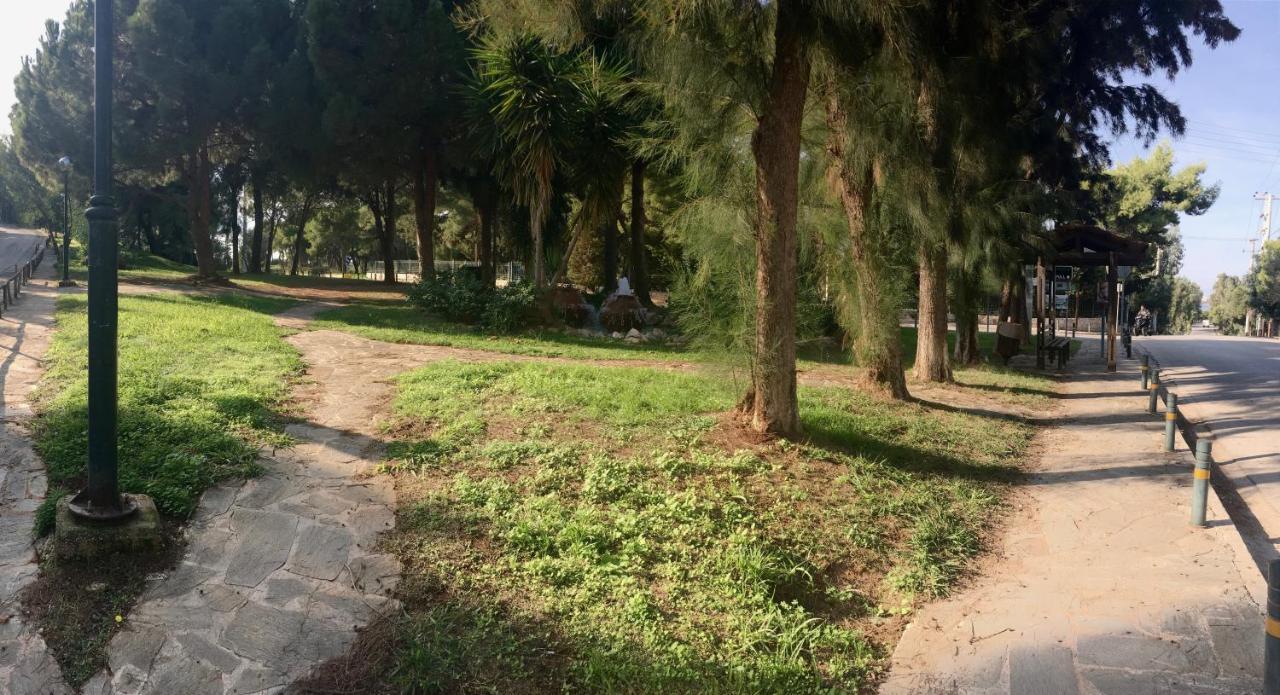 A1 Elegant Vouliagmeni In A Unique Spot